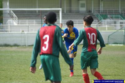 DSC00522 (Copier)