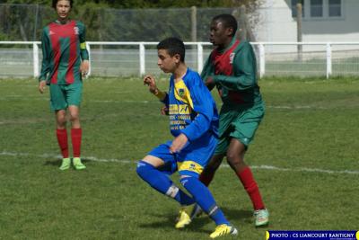 DSC00530 (Copier)