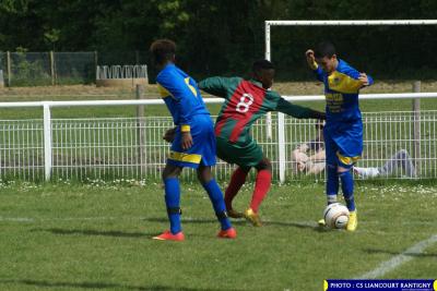 DSC00534 (Copier)
