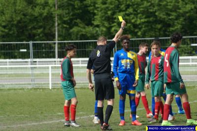 DSC00538 (Copier)