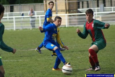 DSC00554 (Copier)