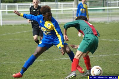 DSC00564 (Copier)
