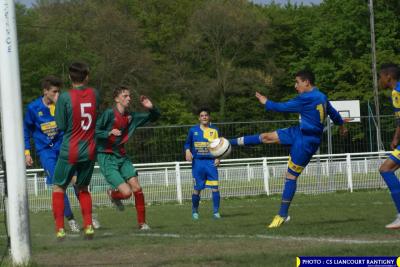 DSC00579 (Copier)