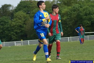 DSC00597 (Copier)